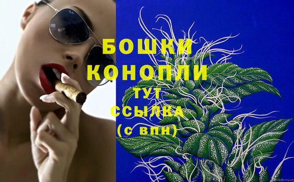 шишки Богородицк